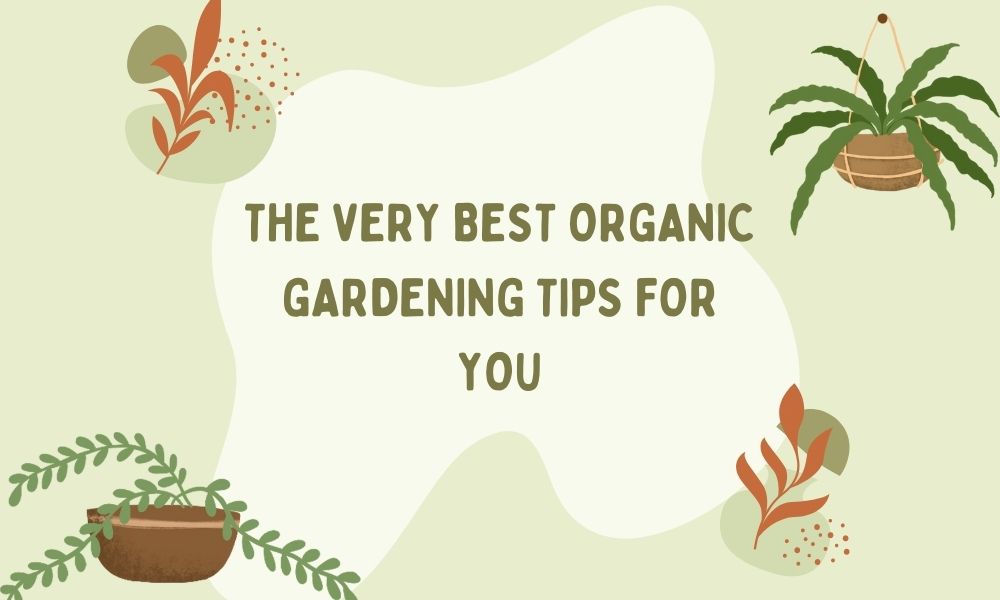 The Very Best Organic Gardening Tips For You