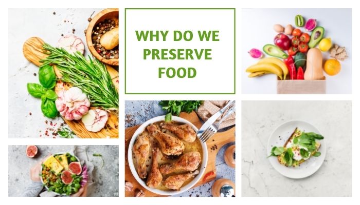 Why Do We Preserve Food Here Are Benefits All Trend Live